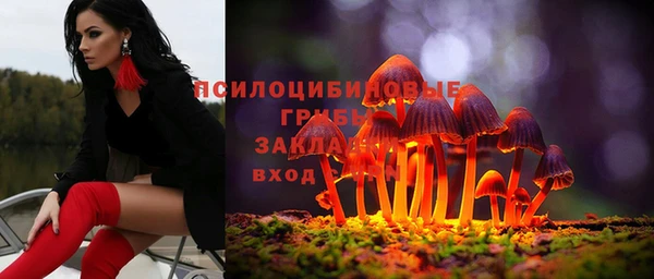 кокс Алексин