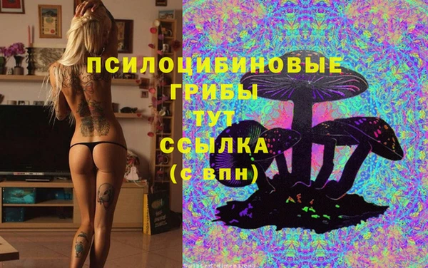 кокс Алексин