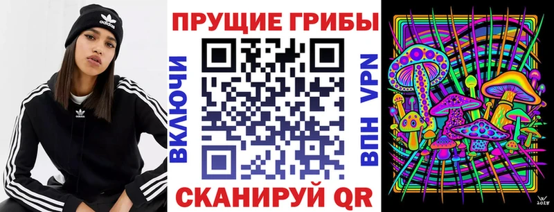 Псилоцибиновые грибы мицелий блэк спрут ссылка Ахтырский